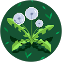 Nahar Kamrun profile picture